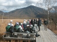 戦場ヶ原ハイキング 　男体山を見ながら一休み