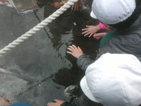 源泉から湧き出るお湯にふれる子どもたち