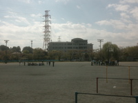 4年生 ドッチボールを楽しんでいます